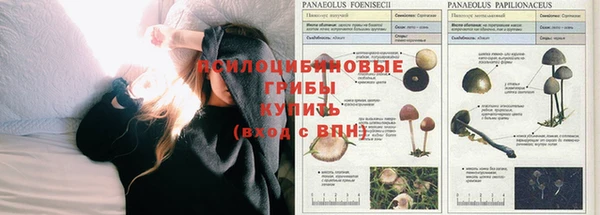 гашик Армянск