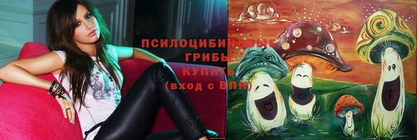 соль ск Аркадак
