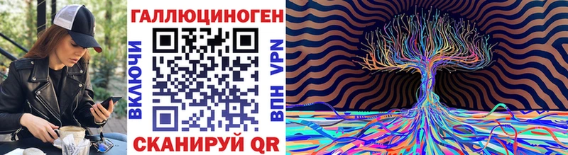 Купить где  Тында  Псилоцибиновые грибы GOLDEN TEACHER 